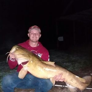 Meet your Posher, Josh